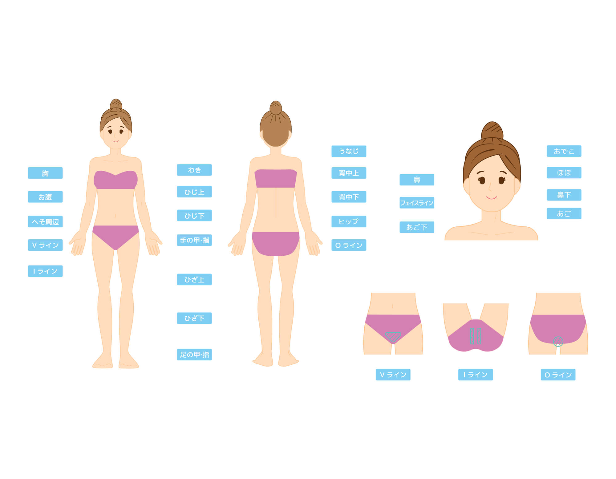 VIO脱毛・腕や足の脱毛など部分脱毛や全身脱毛可能な部位紹介
